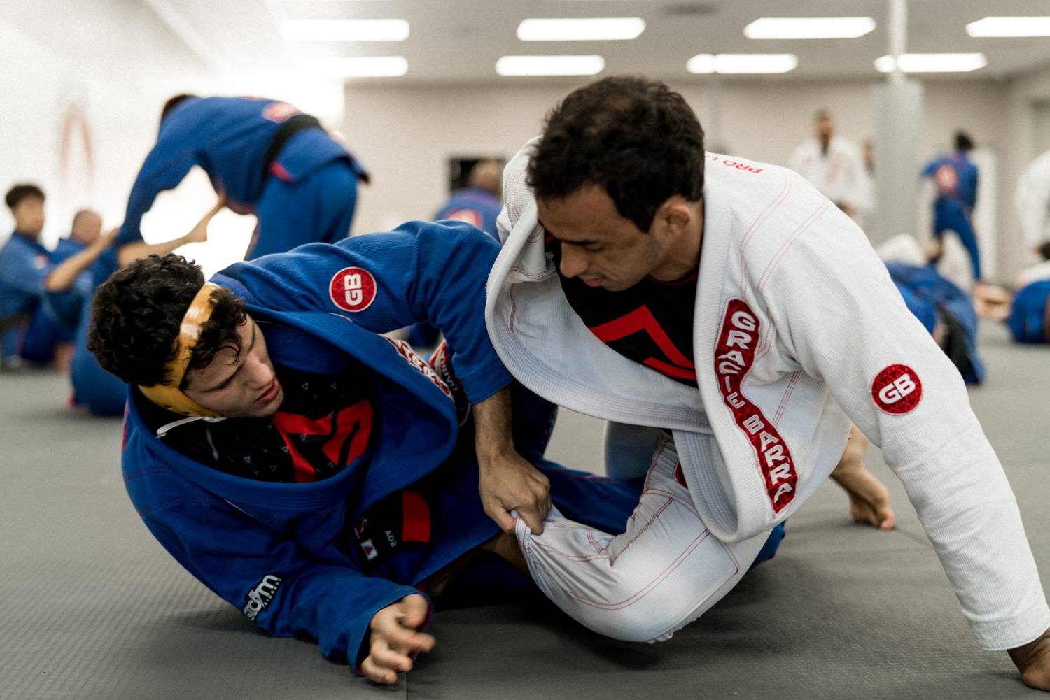 jiu jitsu train in los angeles