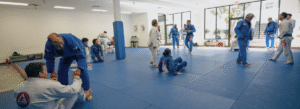 Gracie Barra Northridge: The Top-Rated BJJ Program for Children