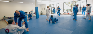 Gracie Barra Northridge: The Top-Rated BJJ Program for Children Gracie Barra Northridge: The Top-Rated BJJ Program for Children