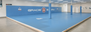 Teen Jiu-Jitsu Classes near CSUN: A Healthy Outlet for Young Adults Teen Jiu-Jitsu Classes near CSUN: A Healthy Outlet for Young Adults