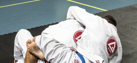 How many levels are there in Brazilian Gracie Barra Jiu-Jitsu Northridge California?